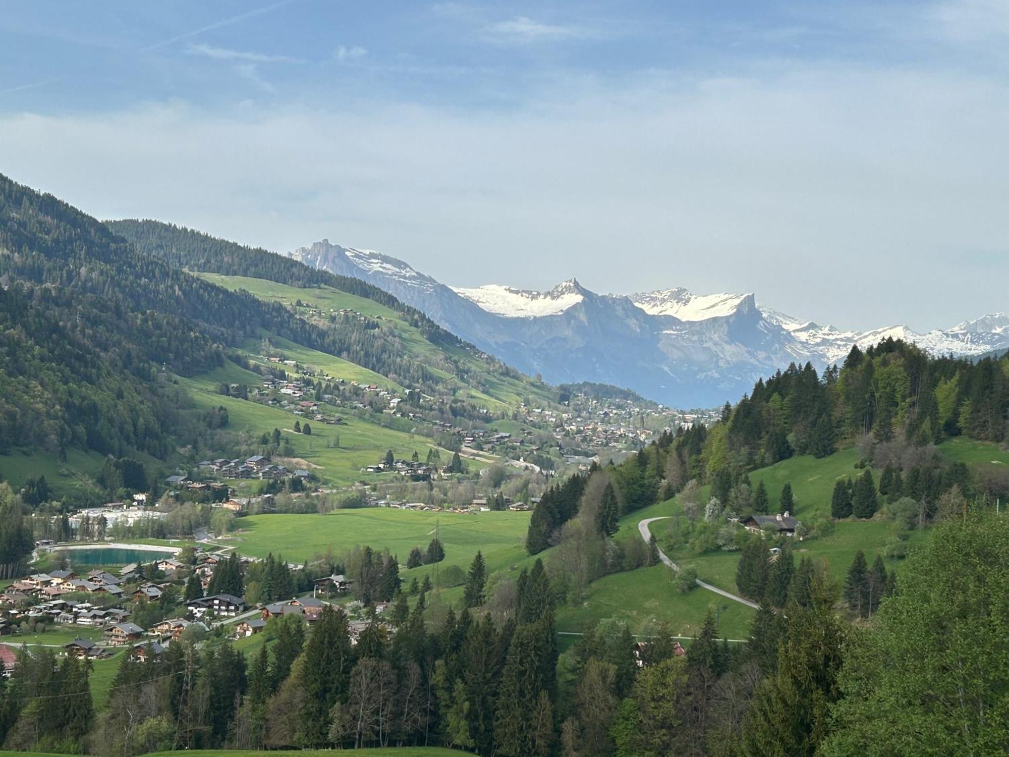 Chalet Saint Victor, Praz Sur Arly Экстерьер фото